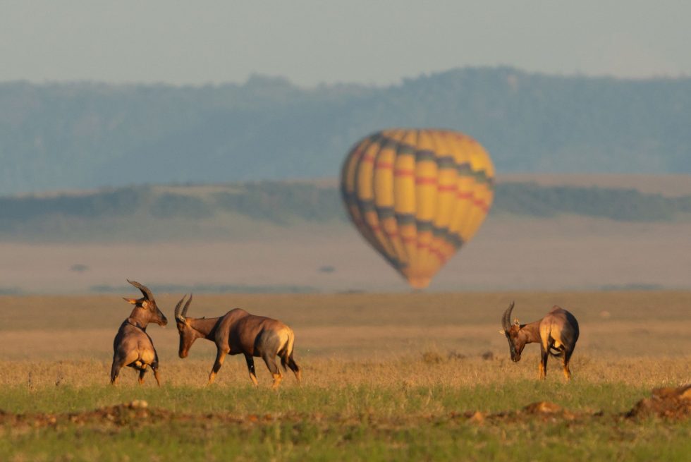 Masai Mara Hot Air Balloon