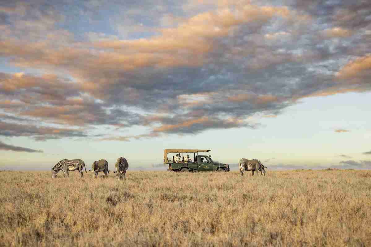 Elewana Lewa Safari Camp