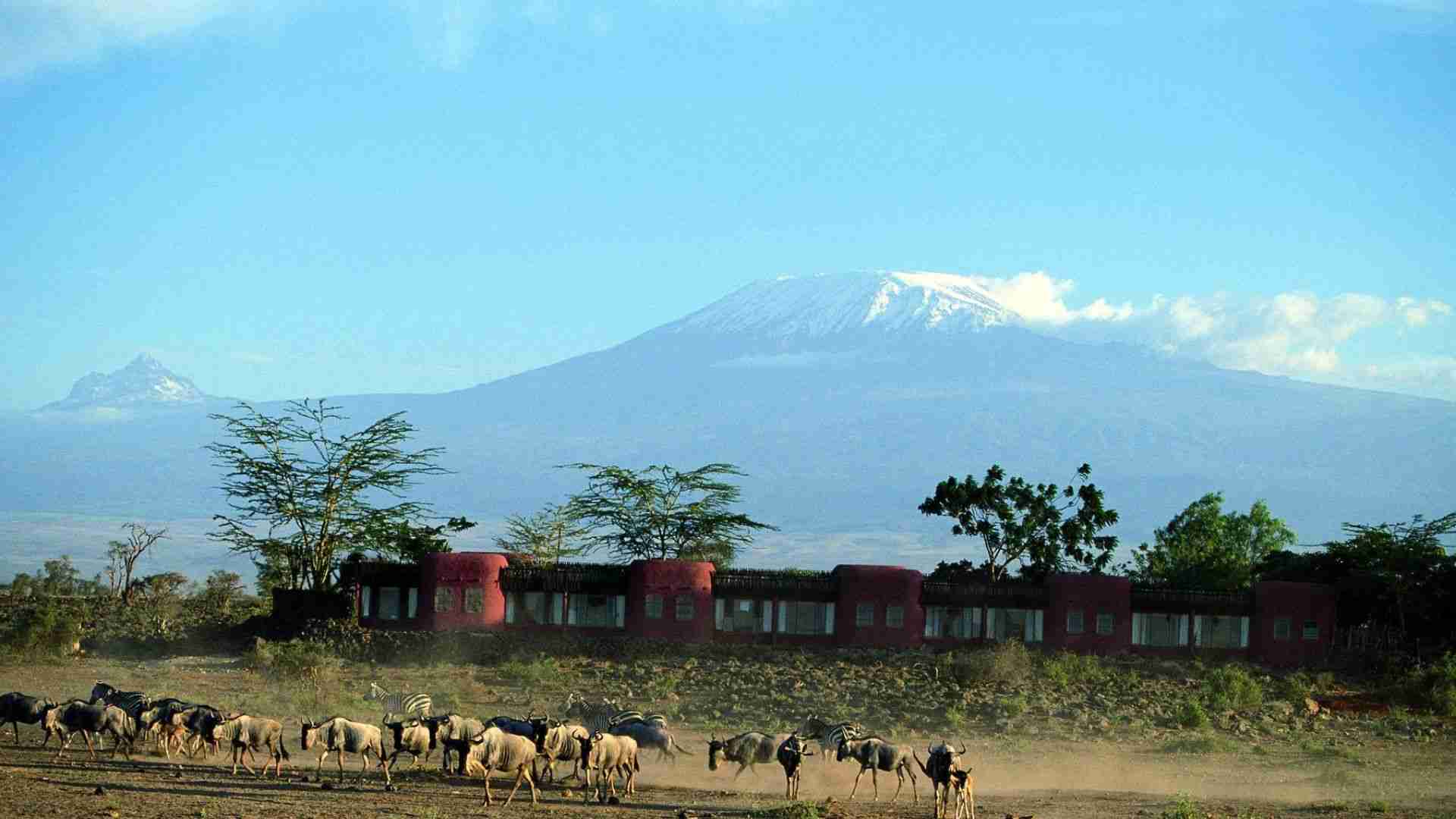 Amboseli Serena Lodge Views