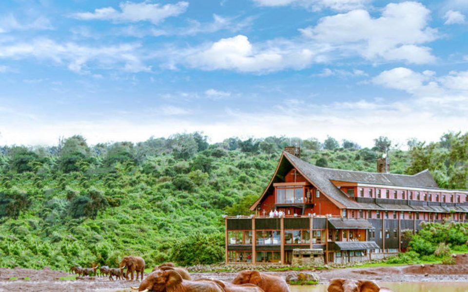 The Ark Waterhole
