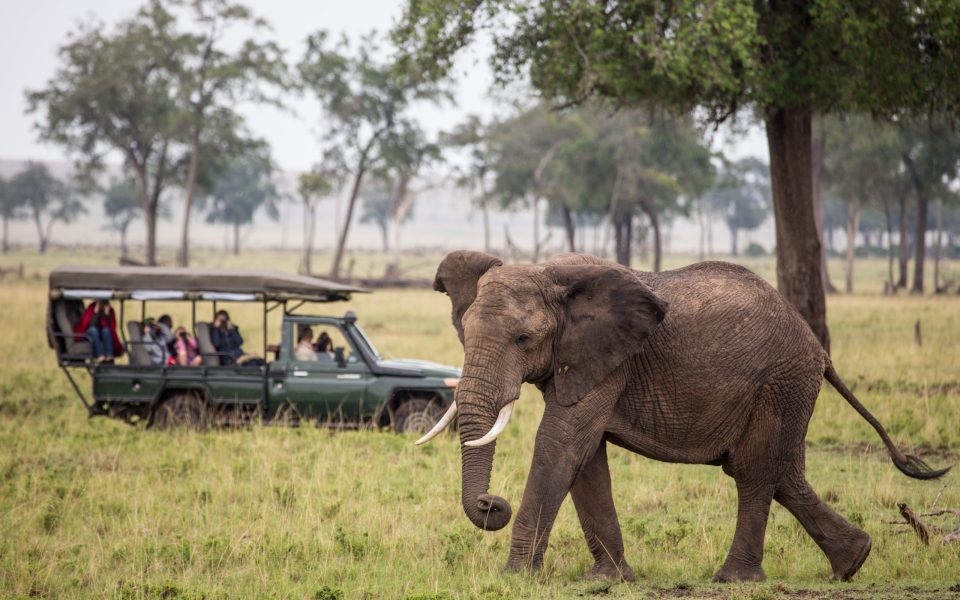 Sentinel Mara Camp Game Drives