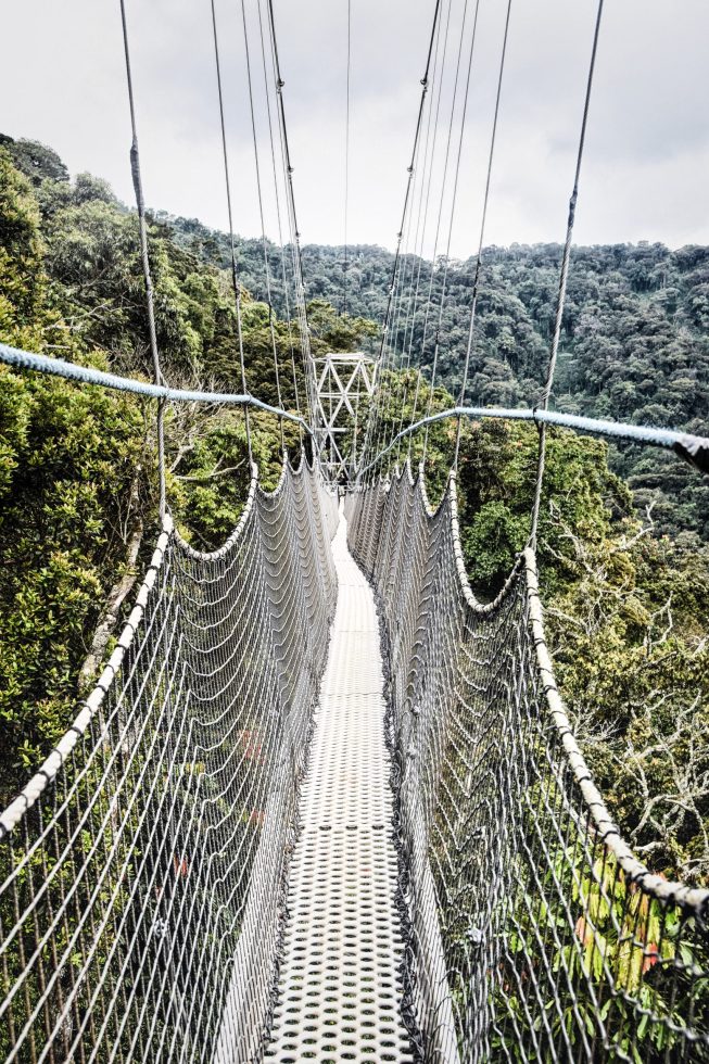 Nyungwe Canopy Walk
