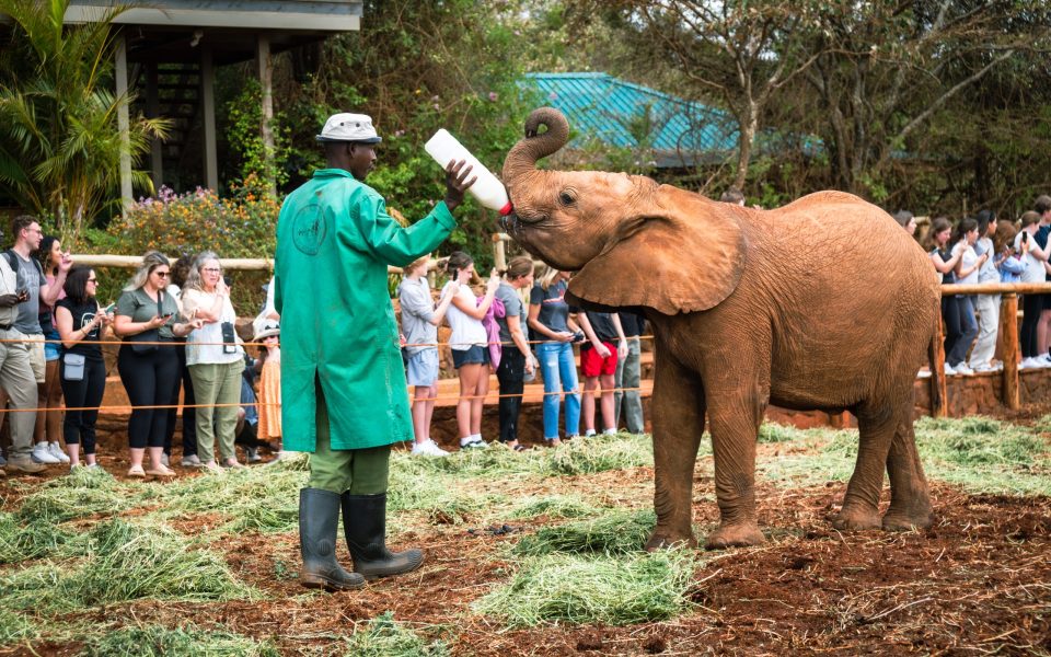 Sheldrick Wildlife Trust