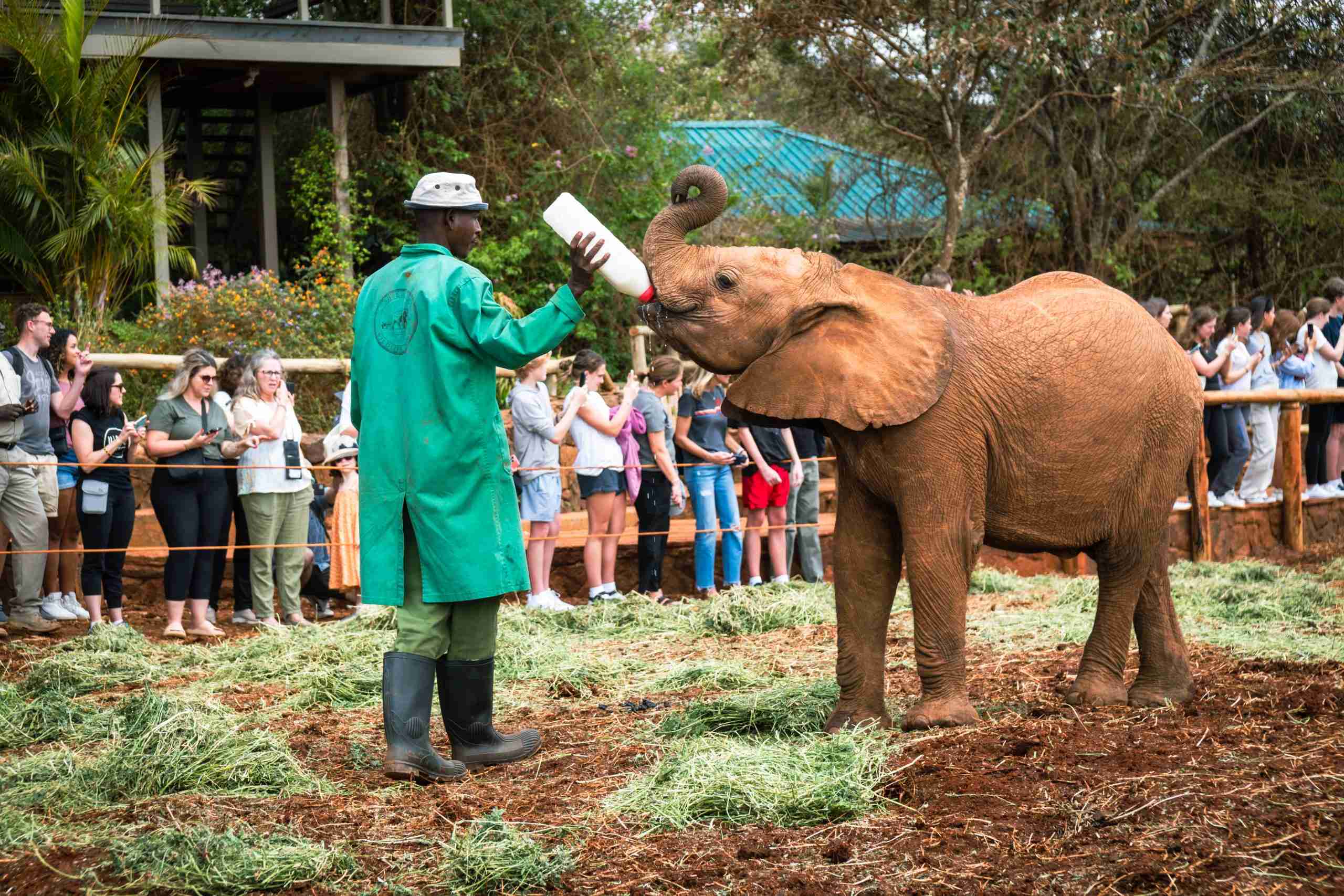Sheldrick Wildlife Trust