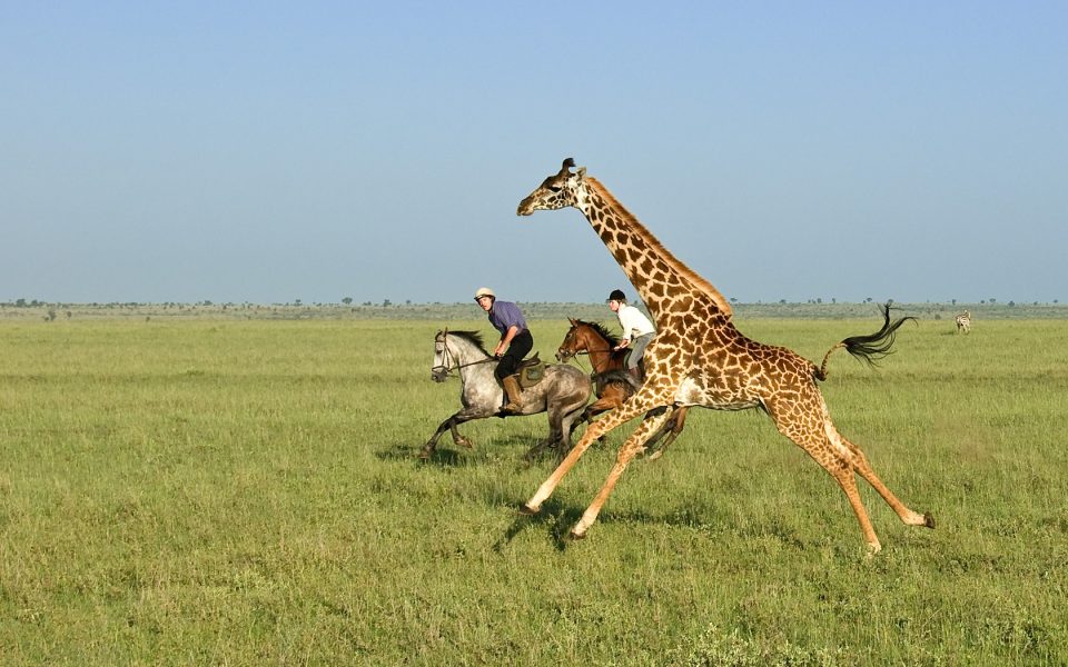 Great Plains ol Donyo Lodge