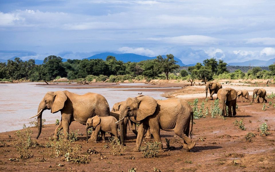 Kalama Conservancy Basecamp Samburu