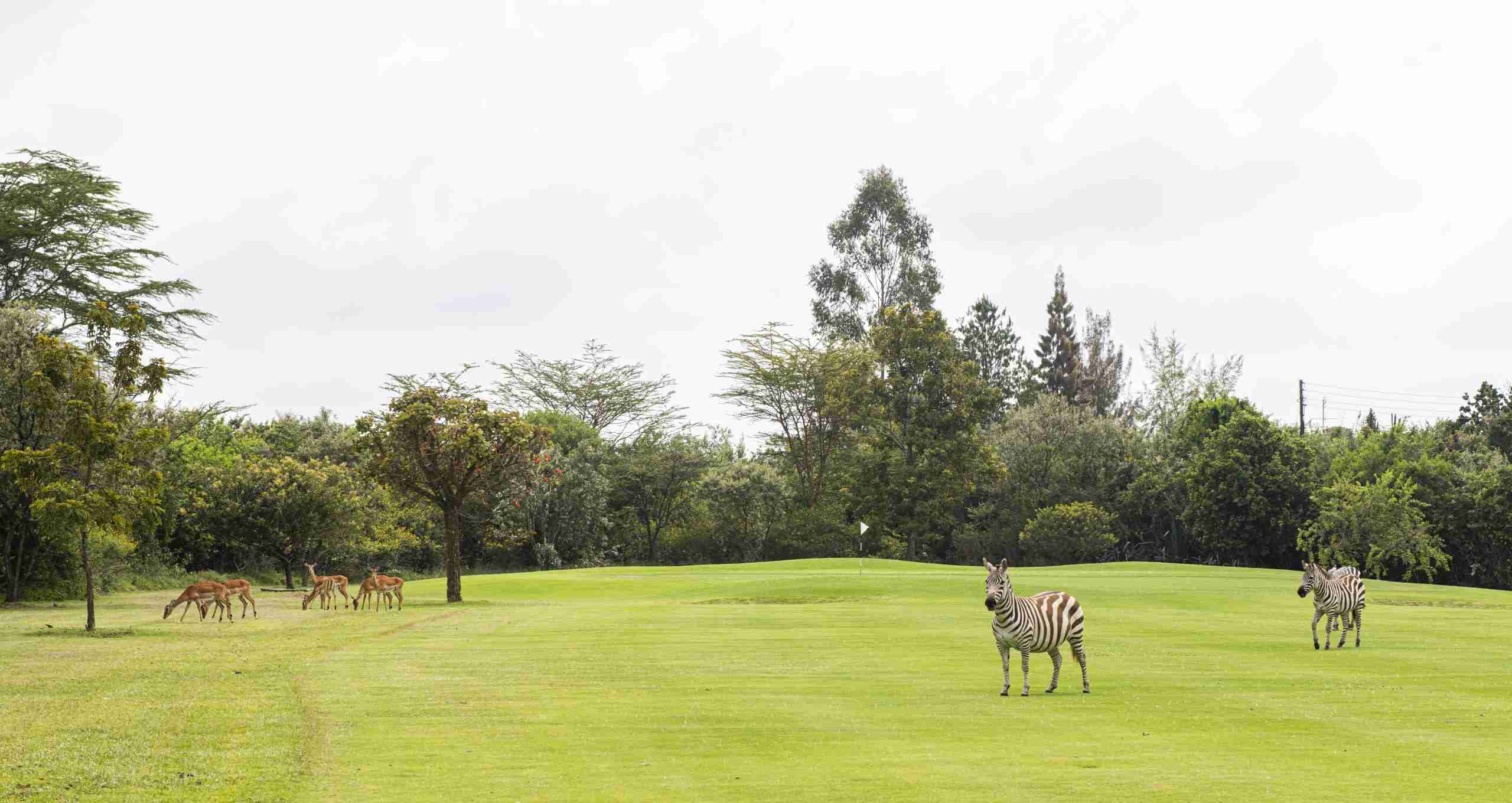Great Rift Valley Lodge & Golf Resort